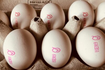 Hur (och till vad nytta) definieras kvaliteten på översättning?