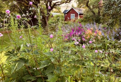 Medicinska texter – vad står det egentligen?